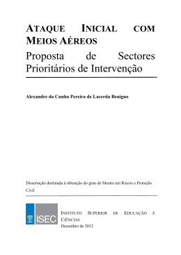Tese Mestrado-Ataque Inicial com Meios A&eacute;reos_Proposta de