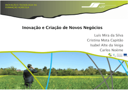Inova&ccedil;&atilde;o e Cria&ccedil;&atilde;o de Novos Neg&oacute;cios