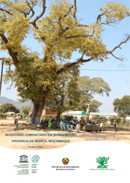 invent&aacute;rio comunit&aacute;rio em chinhambudzi prov&iacute;ncia de