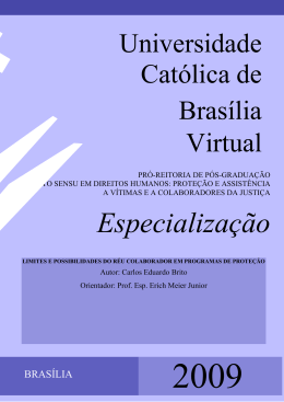 Limites e Possibilidades do Réu Colaborador em Programas de