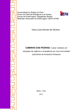 Vera L&uacute;cia Gomes de Oliveira CAMINHO DAS PEDRAS