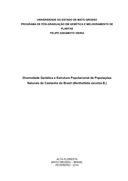 FELIPE SAKAMOTO VIEIRA