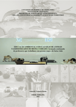 Disserta&ccedil;&atilde;o Eduardo Venancio Rocha - RI UFU