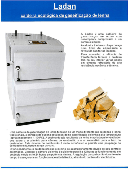 Folheto Caldeiras a Lenha de Gasefica&ccedil;&atilde;o - Chama