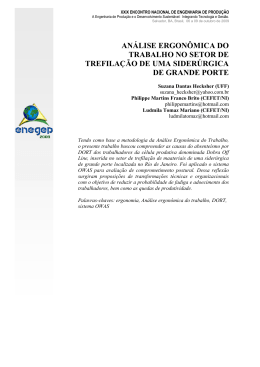 AN&Aacute;LISE ERGON&Ocirc;MICA DO TRABALHO NO SETOR DE