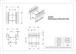 Metalurgica Industrial Ltda. TERZI