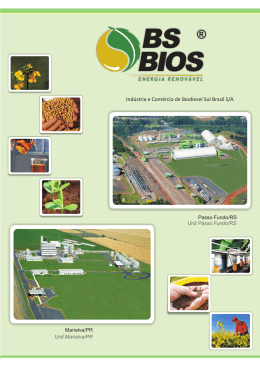 Ind&uacute;stria e Com&eacute;rcio de Biodiesel Sul Brasil S/A