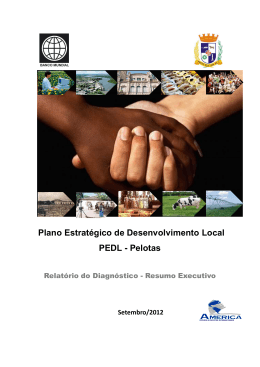 Resumo Executivo - Prefeitura Municipal de Pelotas