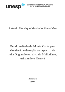 Antonio Henrique Machado Magalhães Uso do método de Monte