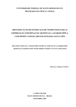 IDENTIFICA&Ccedil;&Atilde;O DO INTERVALO DE TEMPO FIXO PARA O