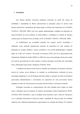 1 Introdu&ccedil;&atilde;o Nas &uacute;ltimas d&eacute;cadas ocorreram mudan&ccedil;as relevantes