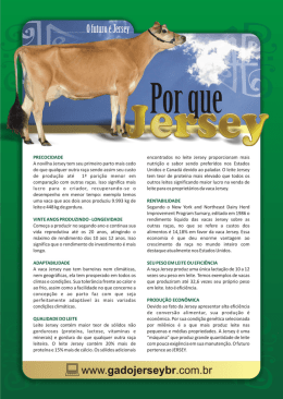 A novilha Jersey tem seu primeiro parto mais cedo