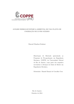 An&aacute;lise Exergo-Econ&ocirc;mica-Ambiental de uma Planta de Cogera&ccedil;&atilde;o