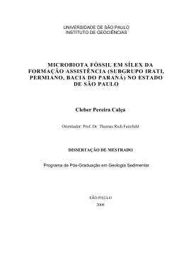 (SUBGRUPO IRATI, PERMIANO, BACIA DO PARAN&Aacute;) NO ESTADO