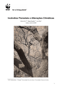 Inc&ecirc;ndios Florestais e Altera&ccedil;&otilde;es Clim&aacute;ticas