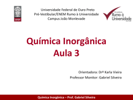 File - PROFESSOR GABRIEL SILVEIRA