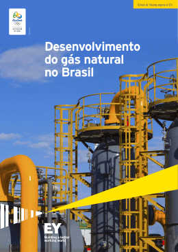 Desenvolvimento do gás natural no Brasil