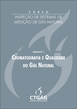 CROMATOGRAFIA E QUALIDADE DO GáS NATURAL