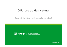 9-55 Luis Daniel - BNDES - O Futuro do Gás Natural