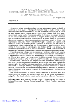 Nova Iguaçu, Cidade mãe: Resumo
