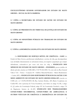 excelent&iacute;ssimo senhor governador do estado de mato