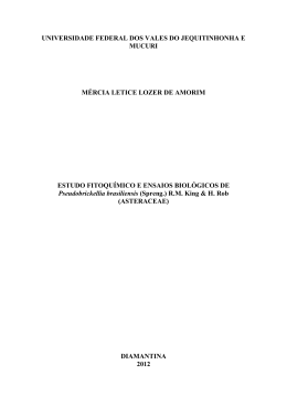 Disserta&ccedil;&atilde;o completa