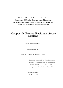 Grupos de Pontos Racionais Sobre C&ocirc;nicas