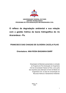 Disserta&ccedil;&atilde;o Final CACELA FILHO