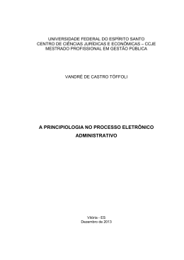 A principiologia no processo eletr&ocirc;nico administrativo