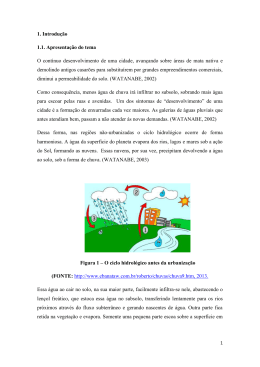 1. Introdu&ccedil;&atilde;o 1.1. Apresenta&ccedil;&atilde;o do tema O