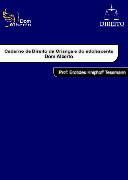 Direito da Crian&ccedil;a e do Adolescente - Erotides