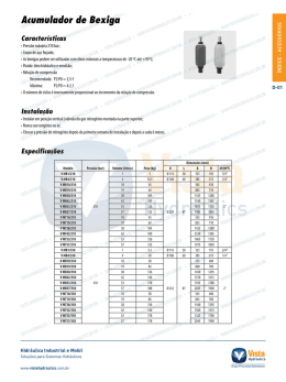 &iexcl;Itumulador de Bexiga - Piracicaba Eletrodiesel