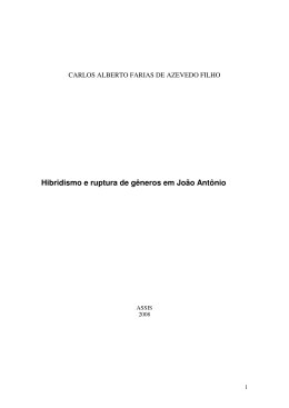 Hibridismo e ruptura de gêneros em João Antônio