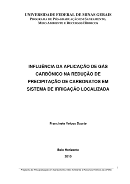 INFLU&Ecirc;NCIA DA APLICA&Ccedil;&Atilde;O DE G&Aacute;S CARB&Ocirc;NICO NA