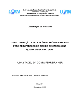 1 &ndash; Introdu&ccedil;&atilde;o