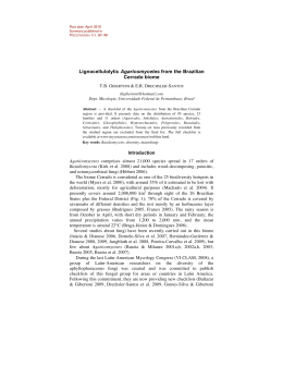 Lignocellulolytic Agaricomycetes from the Brazilian