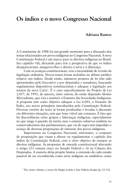 3) Os &iacute;ndios e o novo Congresso Nacional