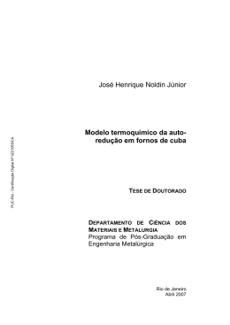 Jos&eacute; Henrique Noldin J&uacute;nior Modelo termoqu&iacute;mico da