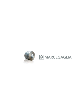 Marcegaglia é o grupo industrial líder mundial na transformação do