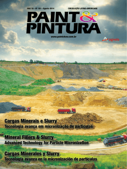 Cargas Minerais e Slurry Mineral Fillers & Slurry