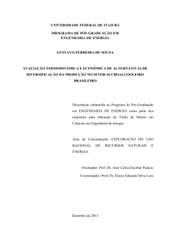 PROGRAMA DE P&Oacute;S-GRADUA&Ccedil;&Atilde;O EM ENGENHARIA DE ENERGIA
