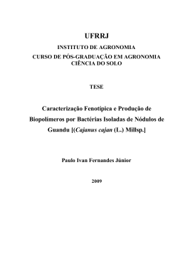 _DO-2009_ Paulo Ivan Fernandes J&uacute;nior