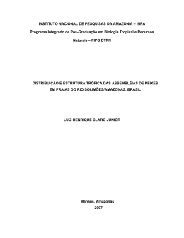 INSTITUTO NACIONAL DE PESQUISAS DA AMAZ&Ocirc;NIA