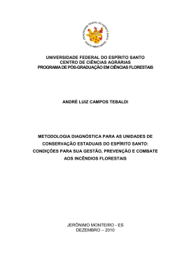 Disserta&ccedil;&atilde;o Tebaldi 12_04_2011_Final para Gr&aacute;fica1