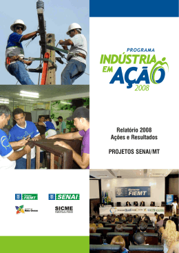 Programa Ind&uacute;stria em A&ccedil;&atilde;o 2008