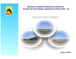 RESUMO N&Atilde;O T&Eacute;CNICO