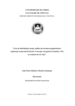 &Aacute;rea de distribui&ccedil;&atilde;o actual, an&aacute;lise da es
