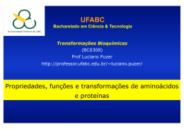 Propriedades, fun&ccedil;&otilde;es e transforma&ccedil;&otilde;es de amino&aacute;cidos e