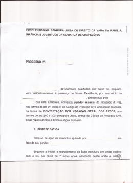 excelent&iacute;ssima senhora ju&iacute;za de direito da var&aacute; da fam&iacute;lia