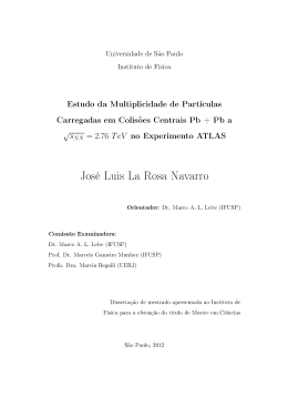 José Luis La Rosa Navarro - Biblioteca Digital de Teses e